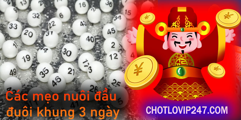 Các mẹo nuôi đầu đuôi khung 3 ngày 