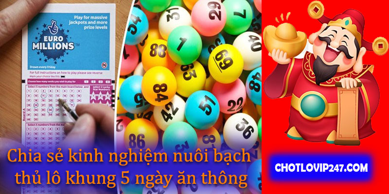 Chia sẻ kinh nghiệm nuôi bạch thủ lô khung 5 ngày ăn thông