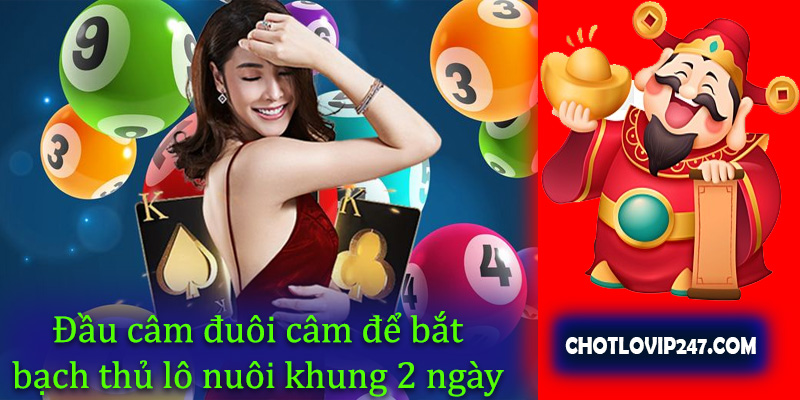 Đầu câm đuôi câm để bắt bạch thủ lô nuôi khung 2 ngày