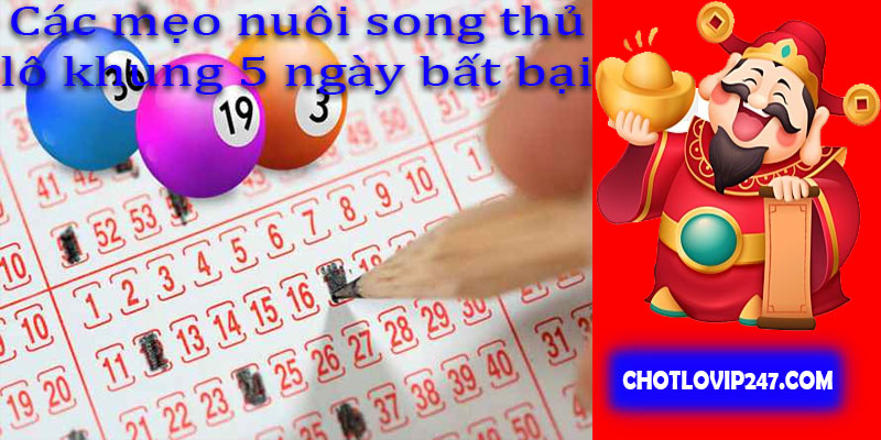 Các mẹo nuôi song thủ lô khung 5 ngày bất bại