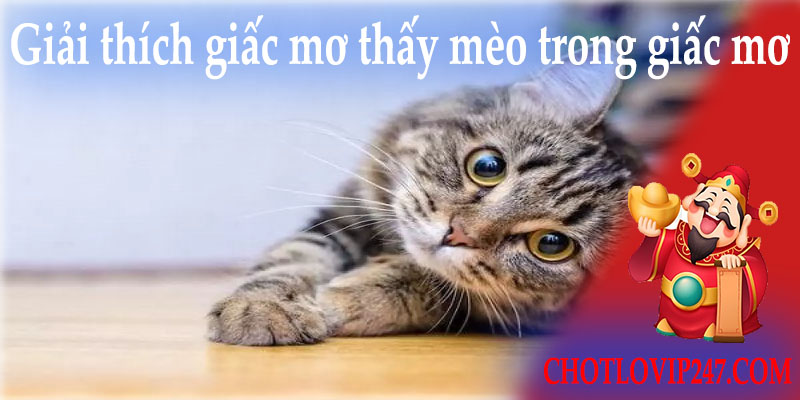 Giải thích giấc mơ thấy mèo trong giấc mơ