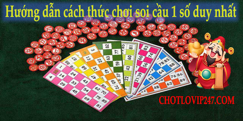 huong-dan-cach-choi-soi-cau-1-so-duy-nhat