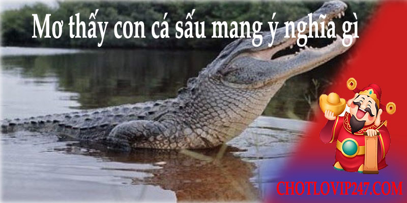 Mơ thấy con cá sấu mang ý nghĩa gì