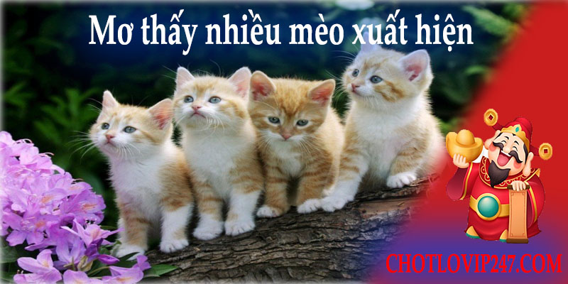 Mơ thấy nhiều mèo xuất hiện 