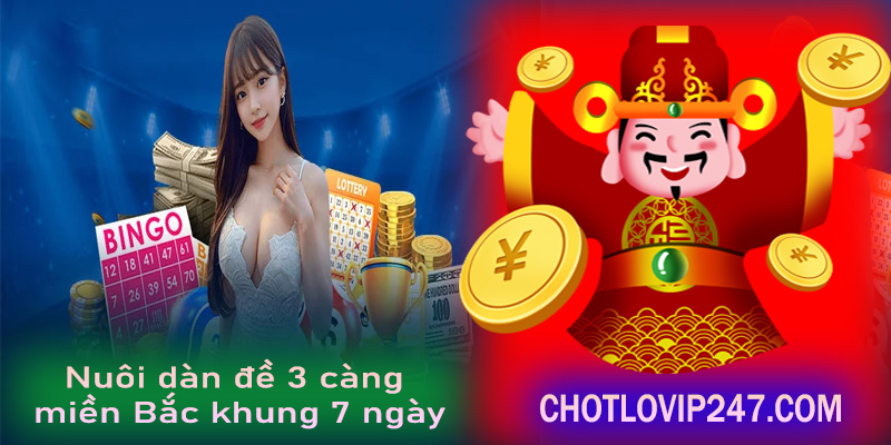 Nuôi dàn đề 3 càng miền Bắc khung 7 ngày