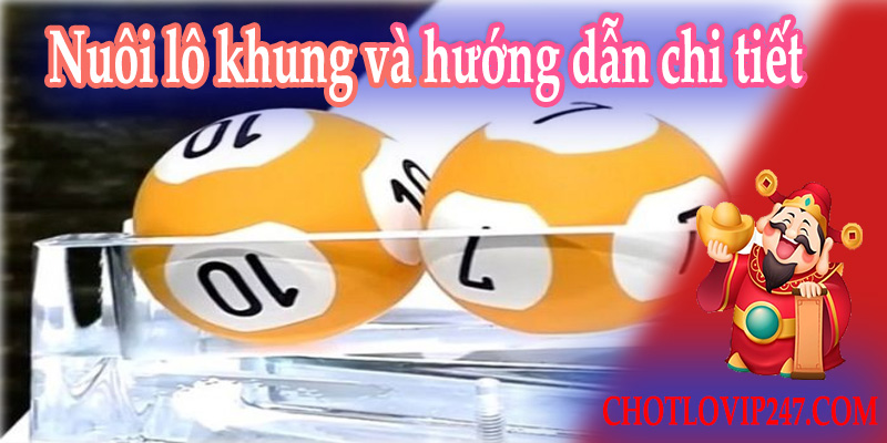 Nuôi lô khung và hướng dẫn chi tiết